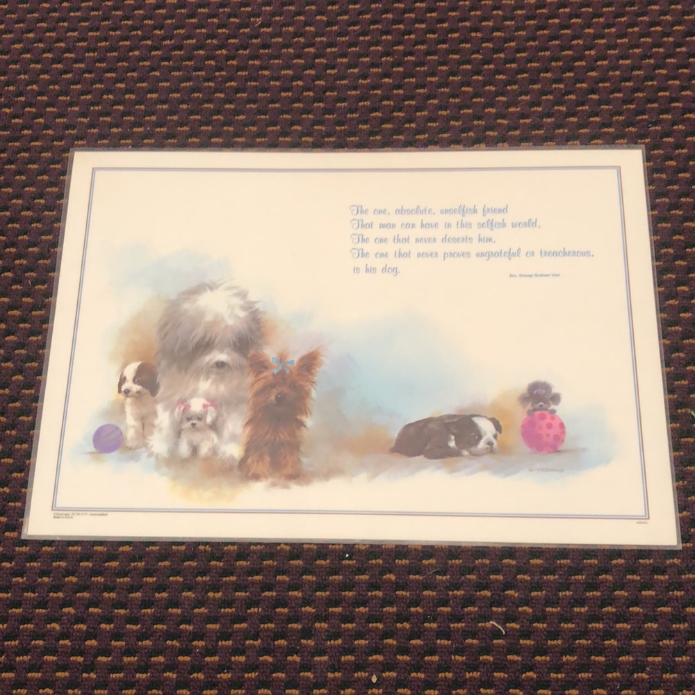 NWT Reversible Pet Bowl Dog food or water Plasticized Floor Placemat!